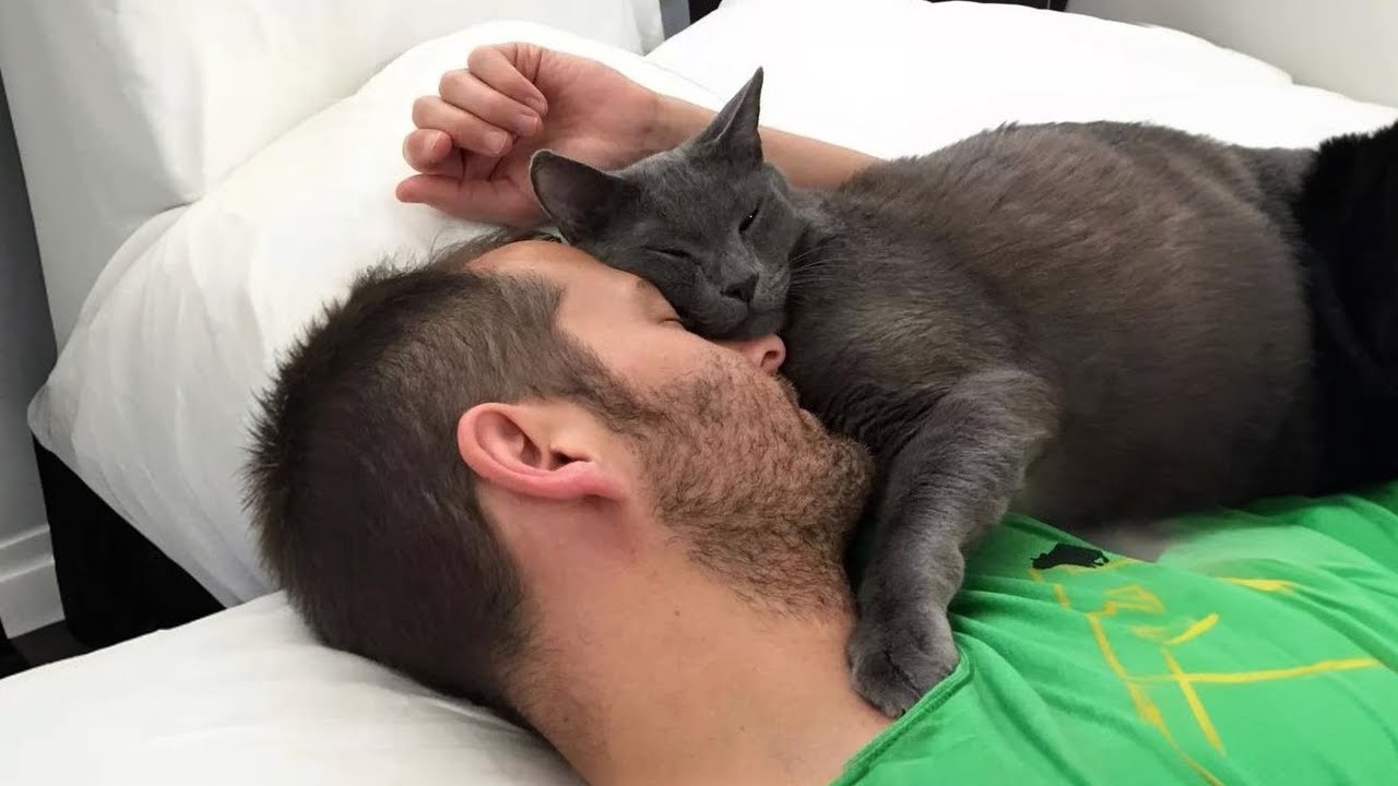 Мужчина всегда хотел котёнка, и его жена сделала ему сюрприз ❤️ Милые видео с кошками