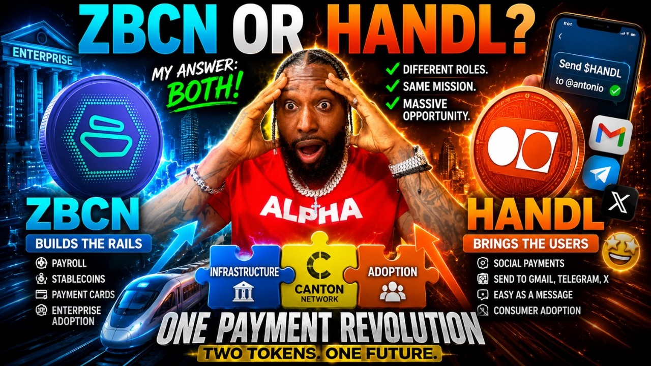 ZBCN and HANDL | Building a Balanced Crypto Portfolio