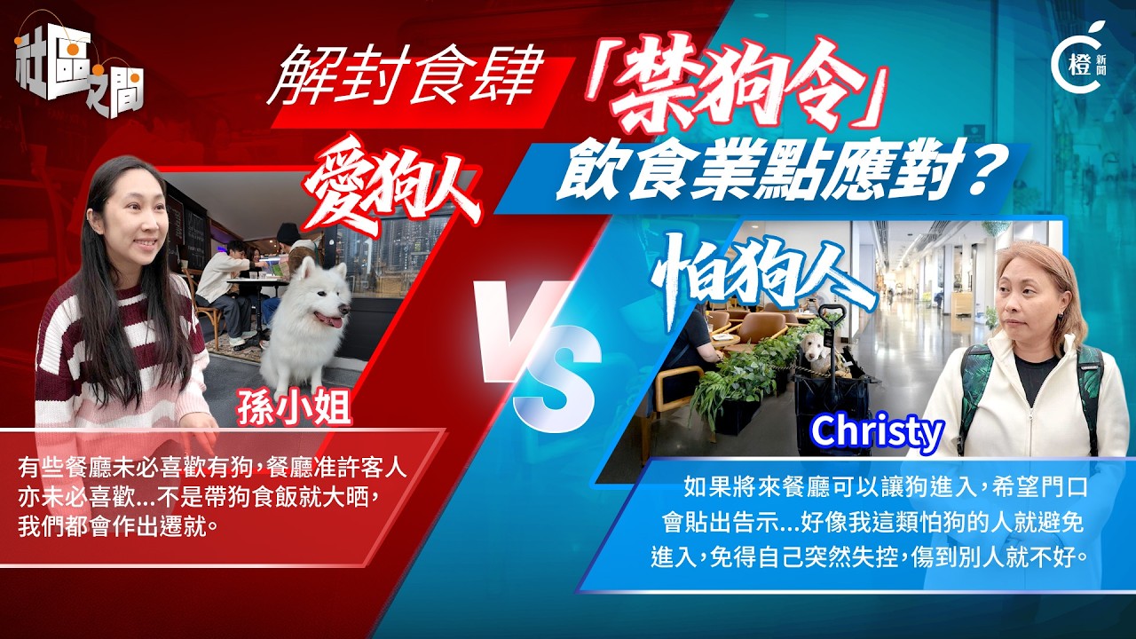 專題 放寬狗隻入食肆 愛狗人VS怕狗人 餐飲業界如何取捨