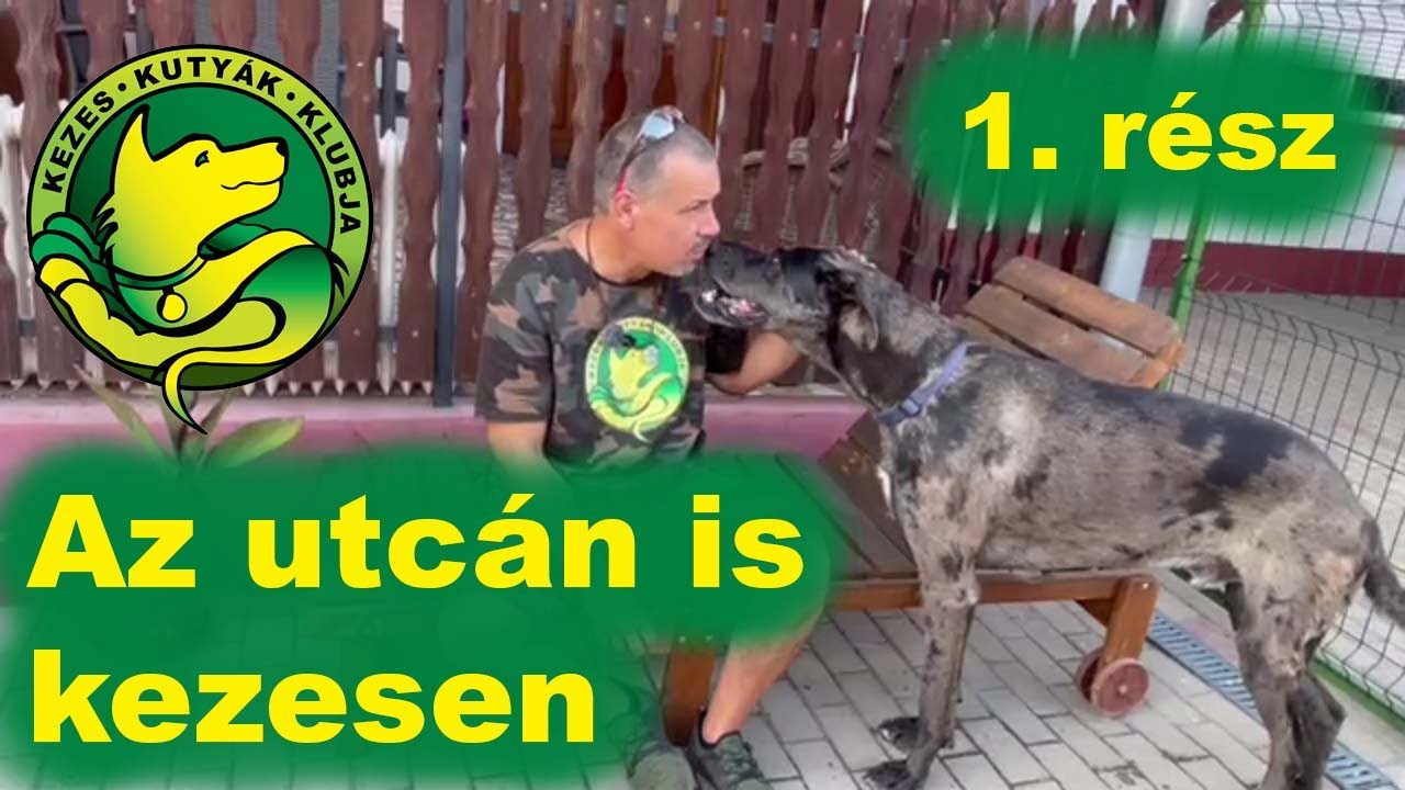 Az utcán is kezesen 1. rész