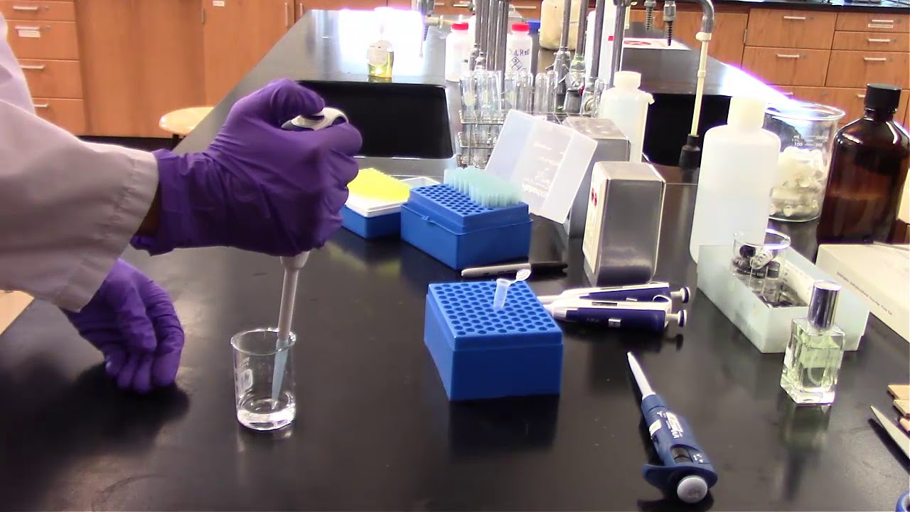 Chem 361 Introduction Experiment