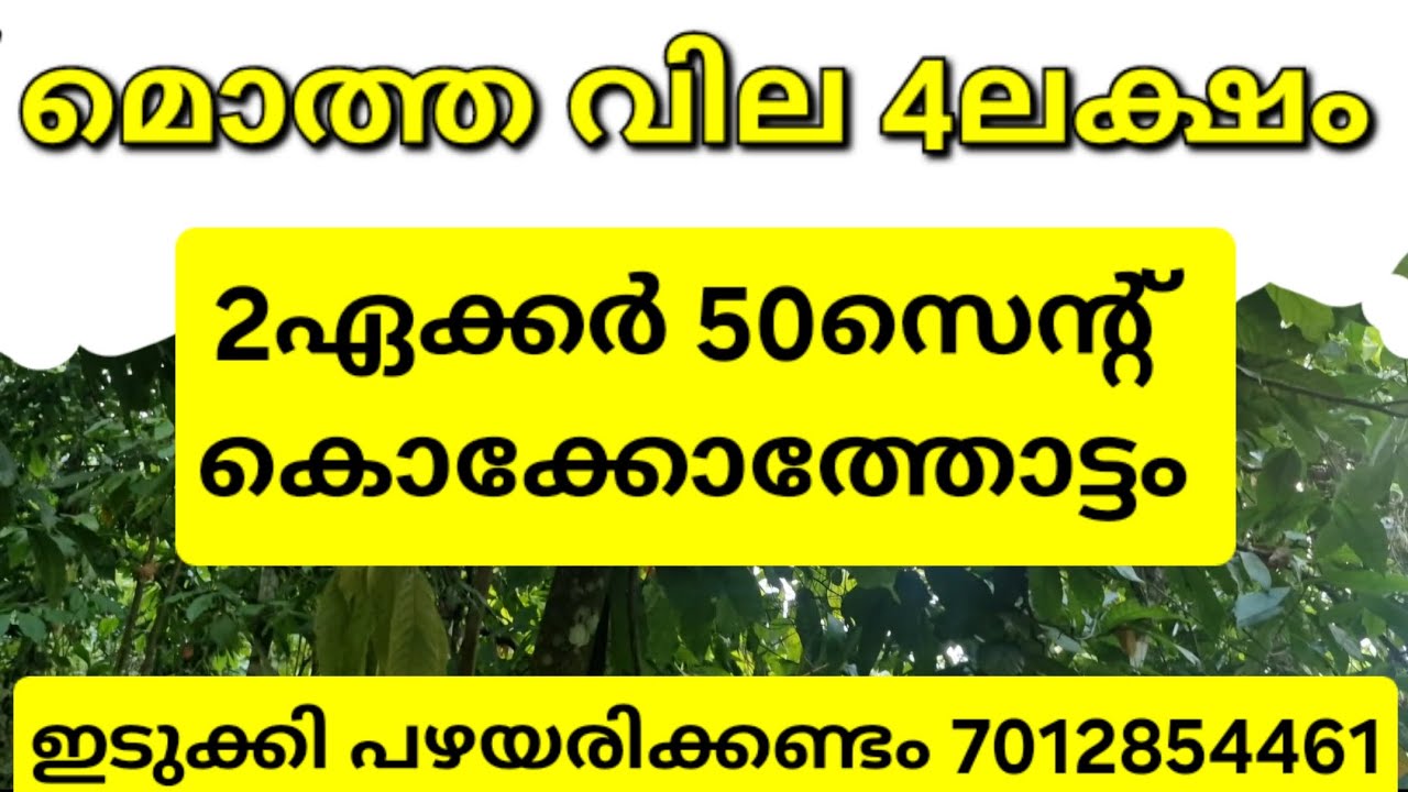 വെറും 4ലക്ഷം രൂപയ്ക്ക് 2ഏക്കർ 50സെന്റ് കൊക്കോത്തോട്ടം.എല്ലാവിധകൃഷികൾക്കും. ഇടുക്കി പഴയരിക്കണ്ടം 👇