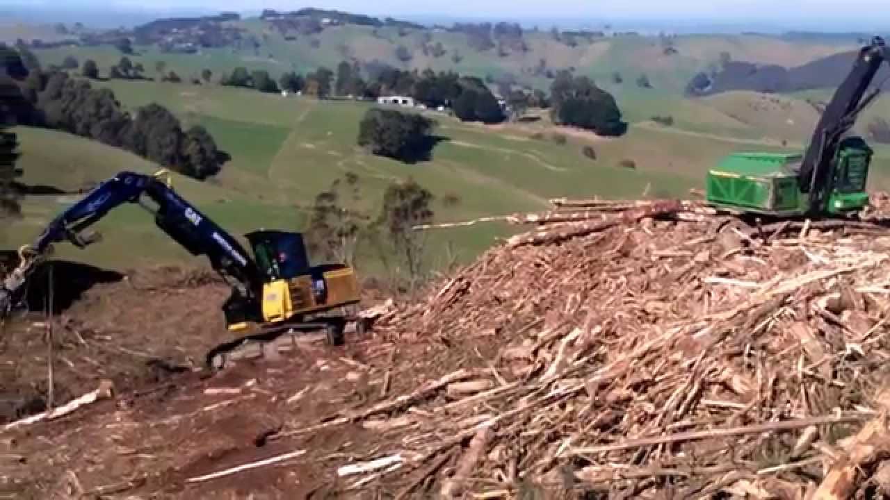 Forestry operation on a steep slope using a shovel process. Shovel logging.