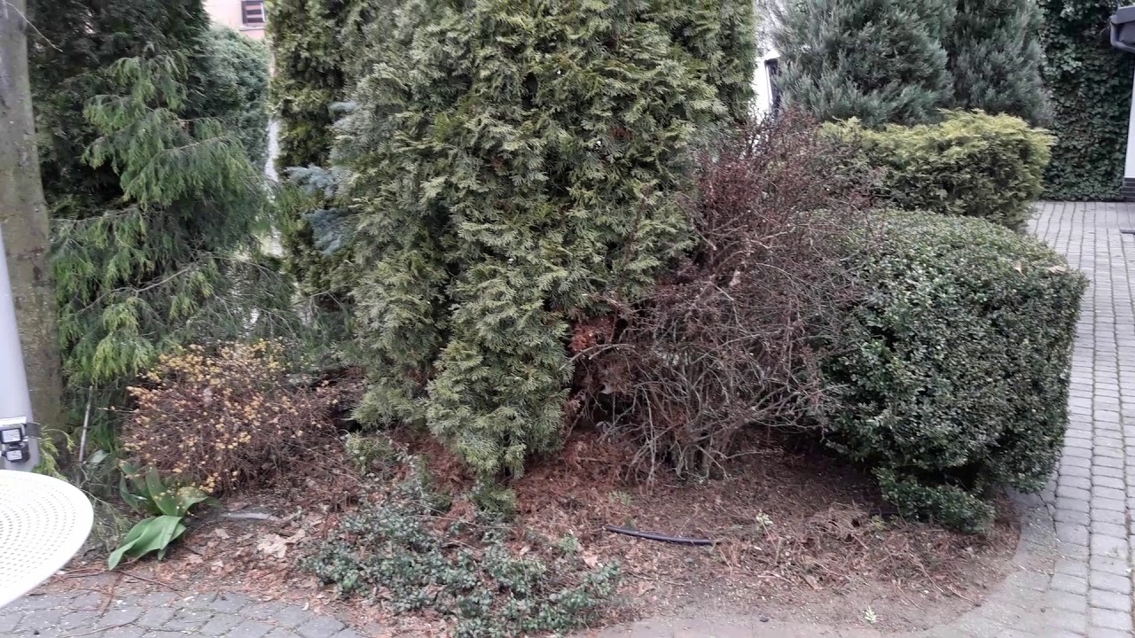 Ogrodnik pejzażysta Rafał. Landscaping engineer.