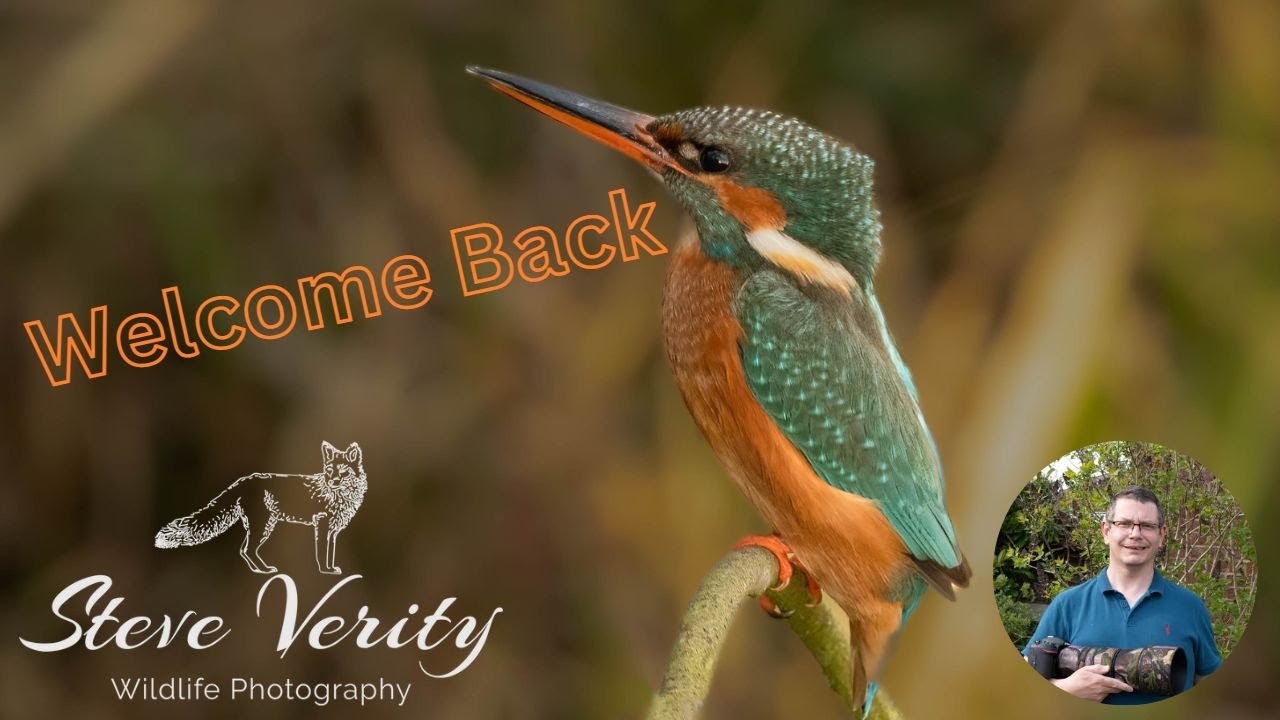 Welcome Back