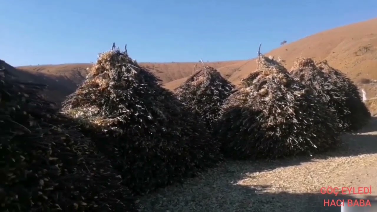 göç eyledi hacı baba #palu#andılar#