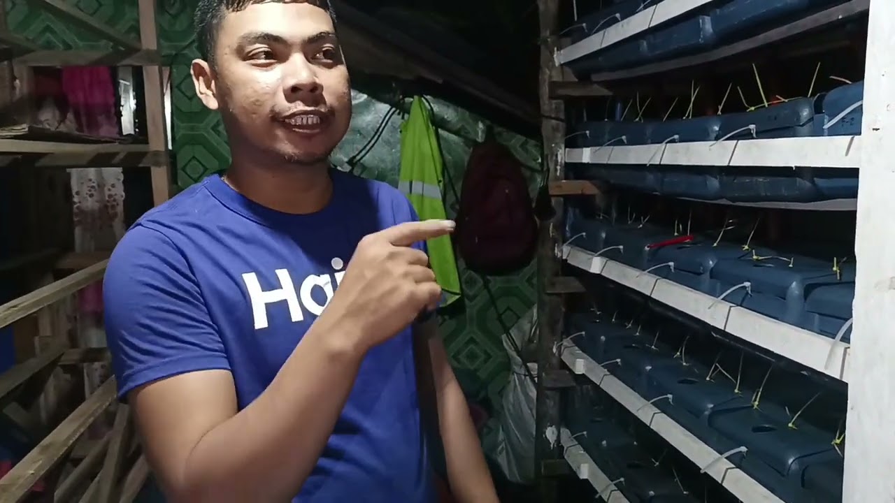paano magpakain ng alimango sa aking vertical farm?