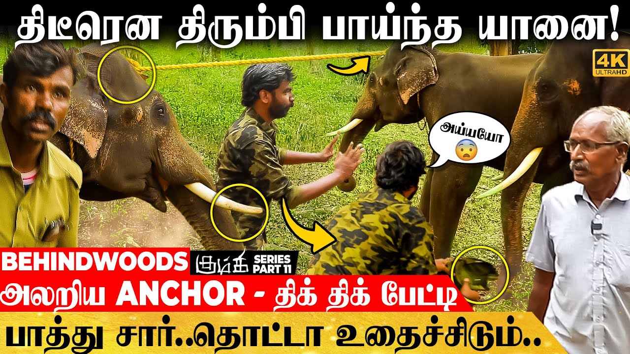 காட்டு யானையை நேரில் பிடிக்கும் காட்சி.. நொடிக்கு நொடி பதற்றம்! - உறைய வைக்கும் பேட்டி