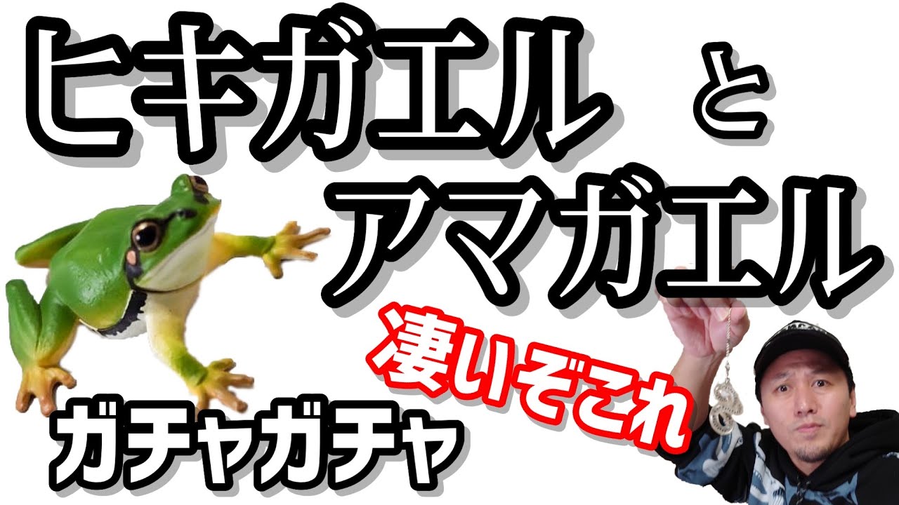 【ガチャガチャ】カエルの進化がもう【ヒキガエルとアマガエル】開封&レビューします。【ネイチャーテクニカラーモノプラス】ヒキガエル、アマガエル