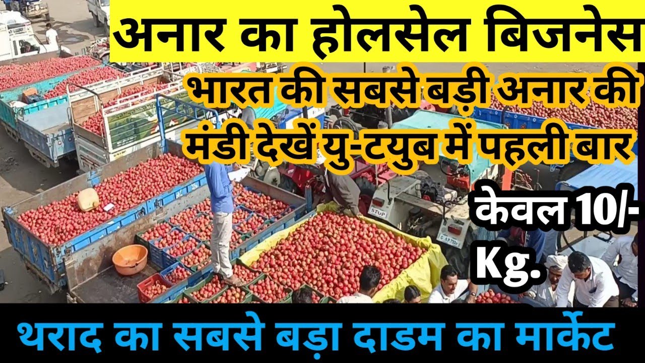 अनार का होलसेल बिज़नेस करें | Pomegranate wholesale business ideas | best business ideas |