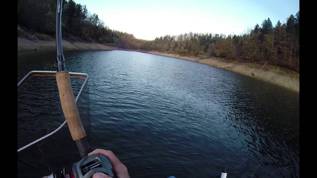 Учебное пособие Savage Gear Line Thru Trout