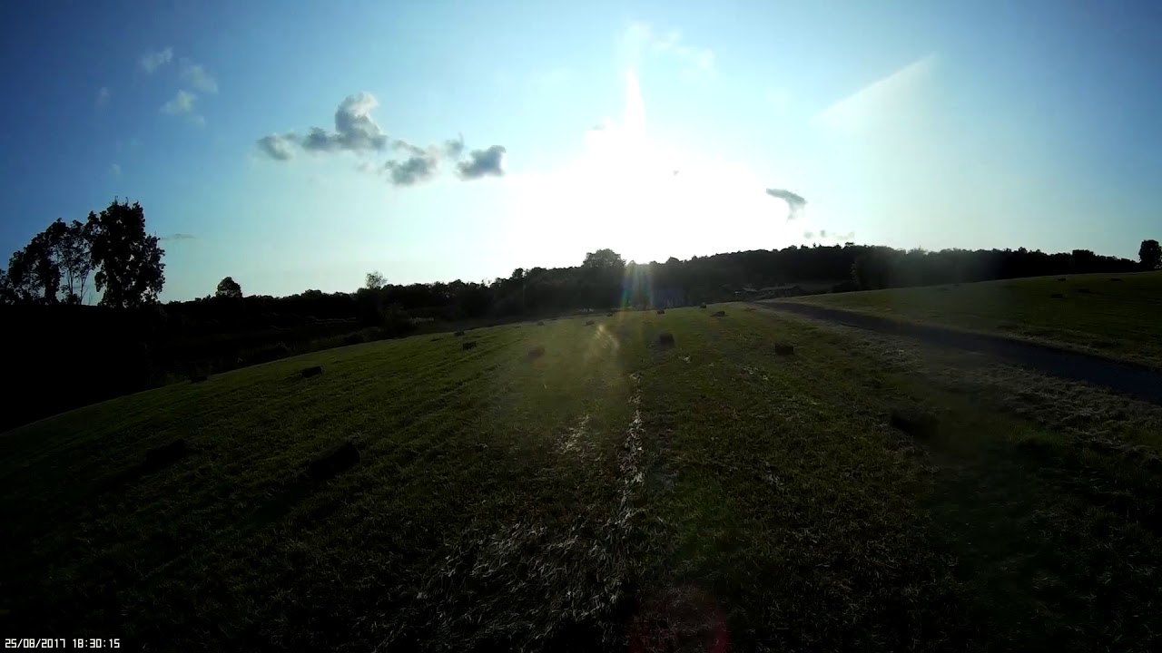 Day on the Farm