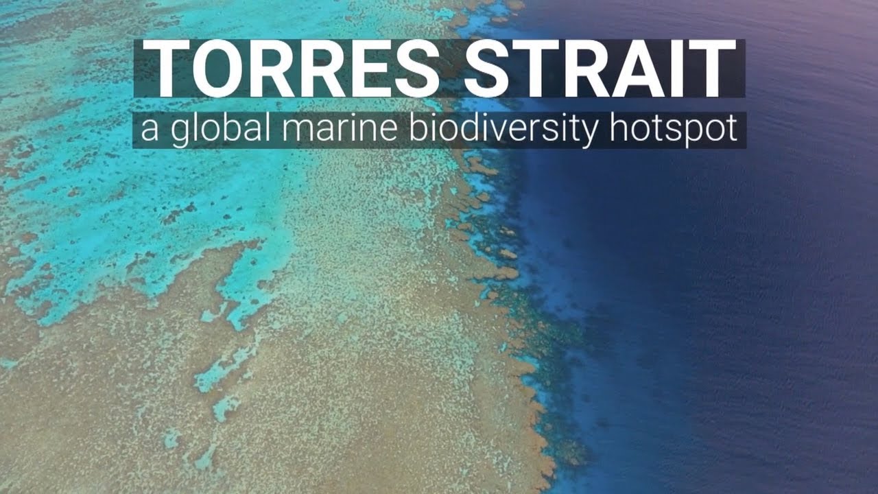 Torres Strait - A global marine biodiversity hotspot - TSRA Land and Sea Management Unit