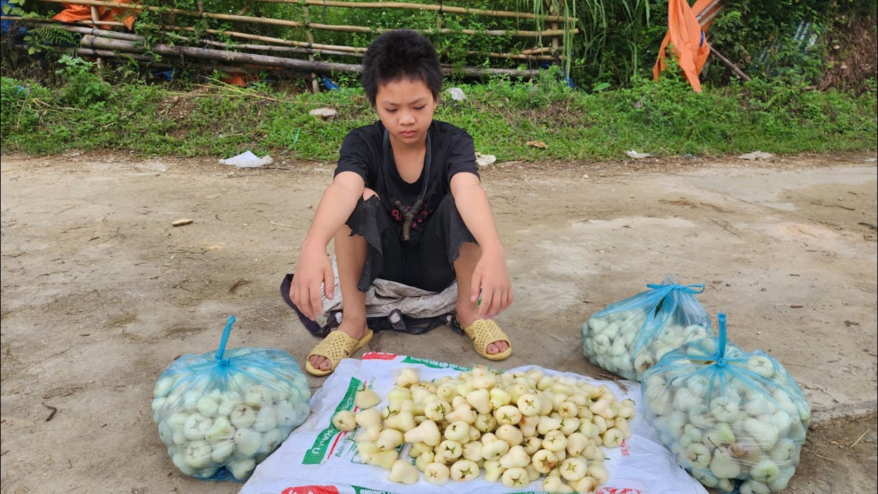 Orphan boy - Picking up trash, begging to pick fruit, living alone to make a living