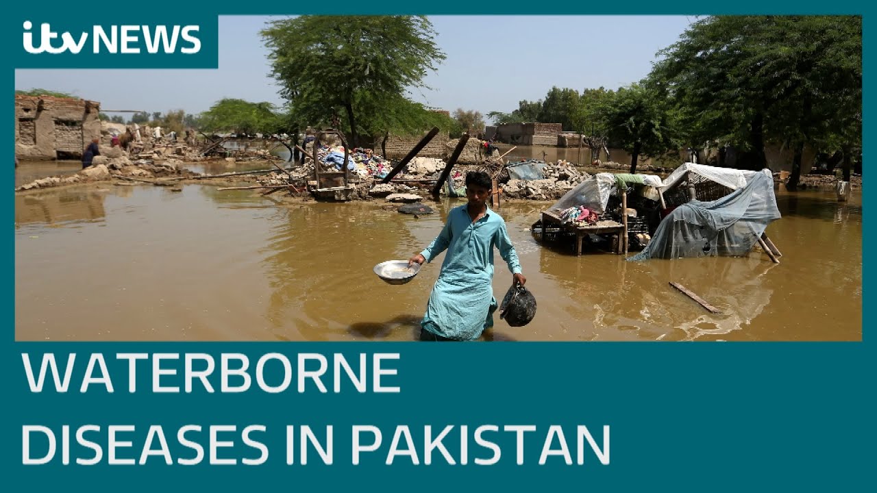 UK charities urge donations as waterborne diseases spread among flood victims in Pakistan | ITV News