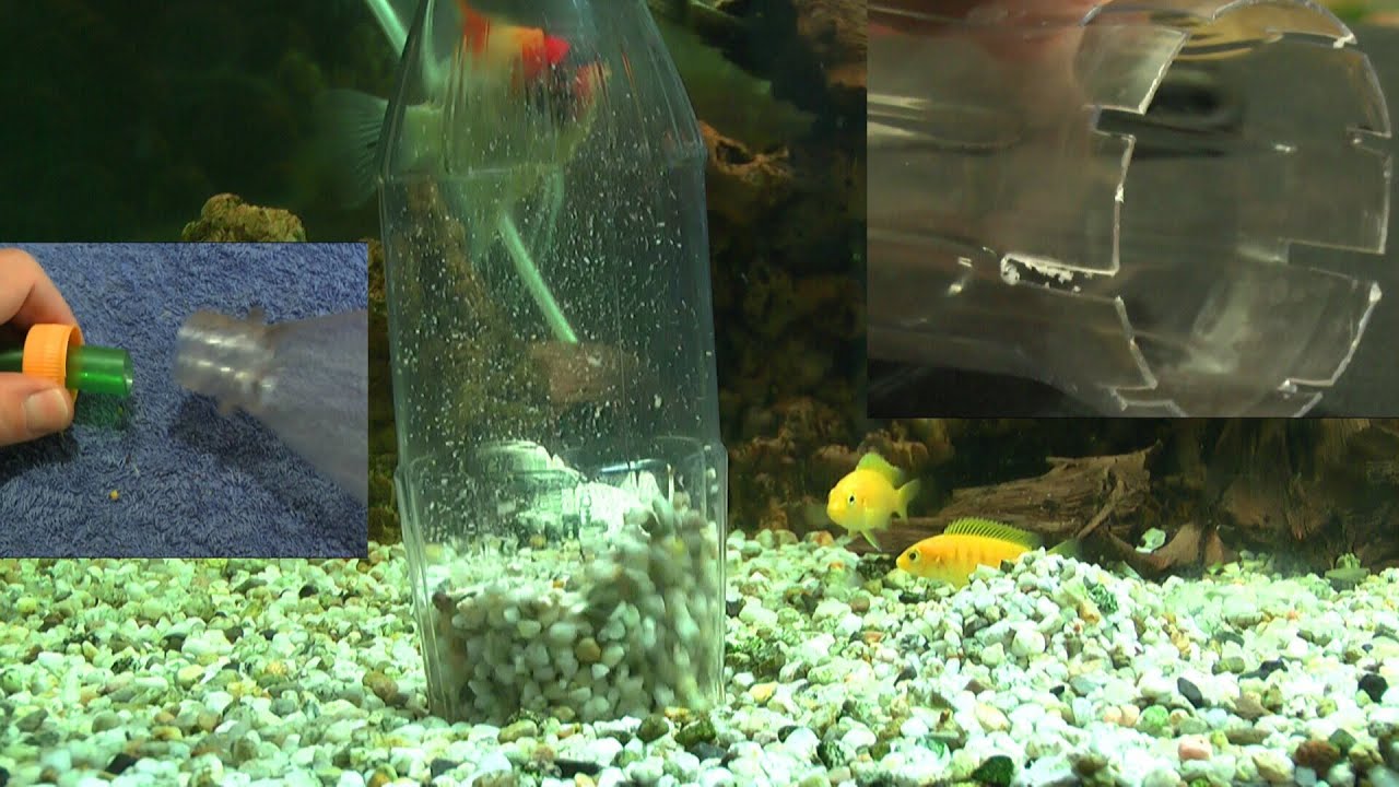 Aquarium Saugglocke selber bauen, kostet fast gar nichts