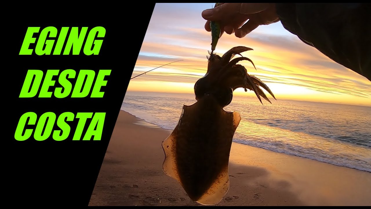 🔥PESCA EGING DESDE PLAYA🎣🦑