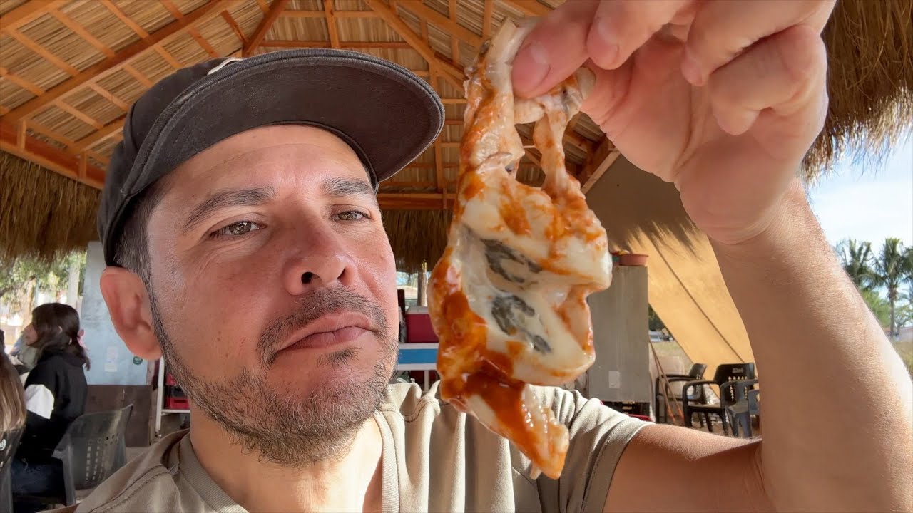 Ostines de Roca en Maviri Sinaloa