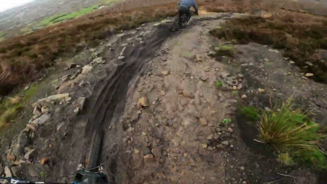 thin brown line - wildbank