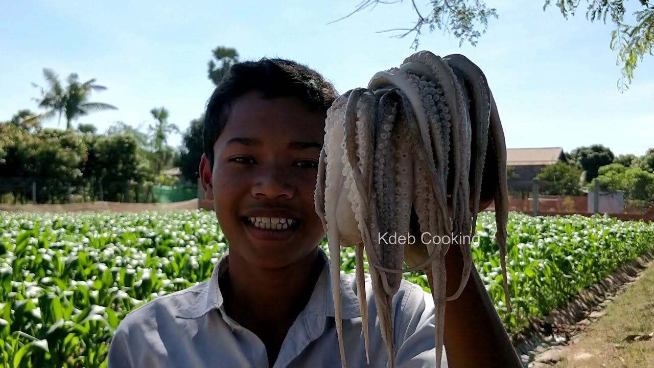 Octopus Cooking Grape Tomato Recipe / Kdeb Cooking