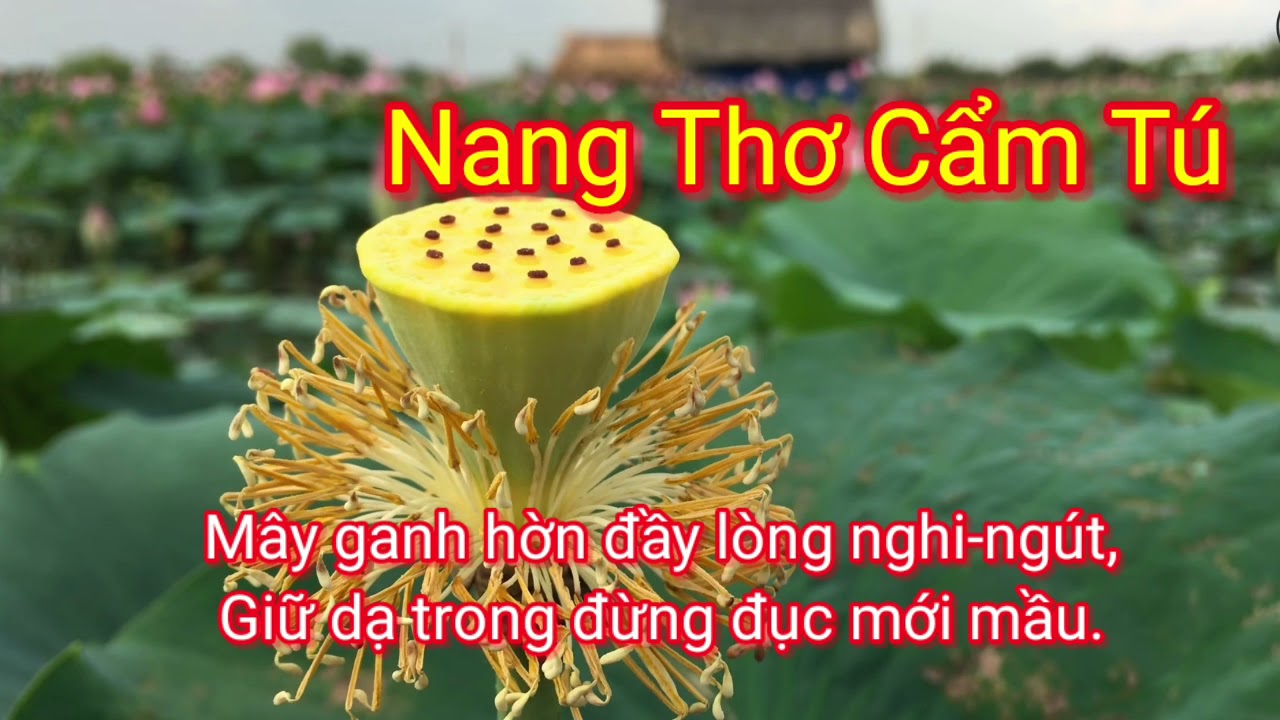 Nang Thơ Cẩm Tú ( có chữ ). Sấm Giảng - Thi Văn Giáo Lý PGHH