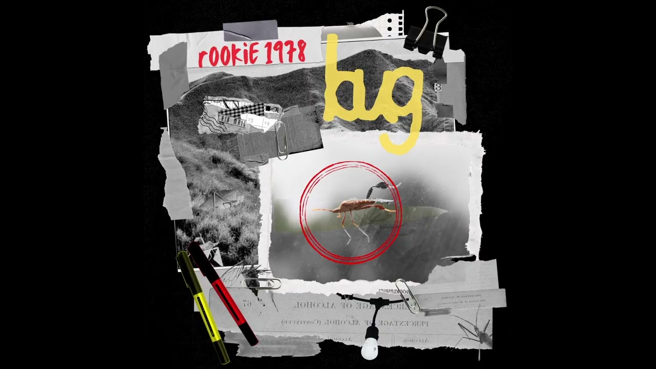 'bug' (2025) - Rookie 1978 - Full Album