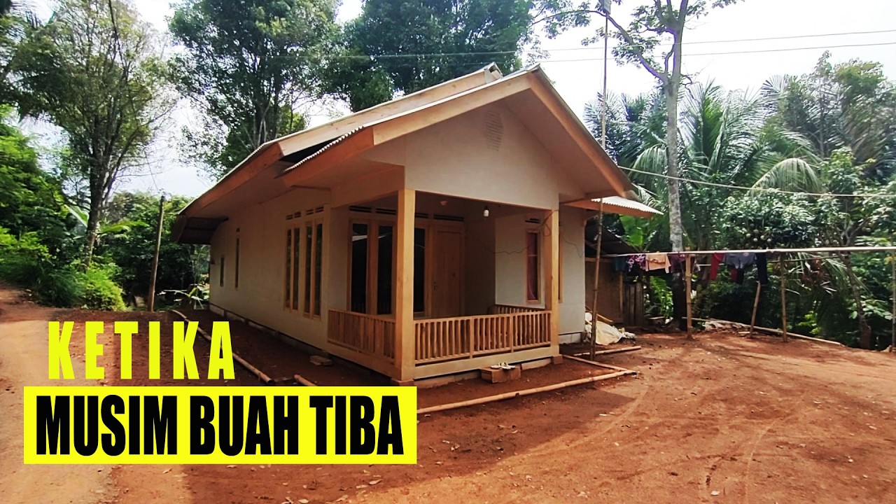 KETIKA MUSIM BUAH TIBA KAMPUNG CIANJUR SELATAN
