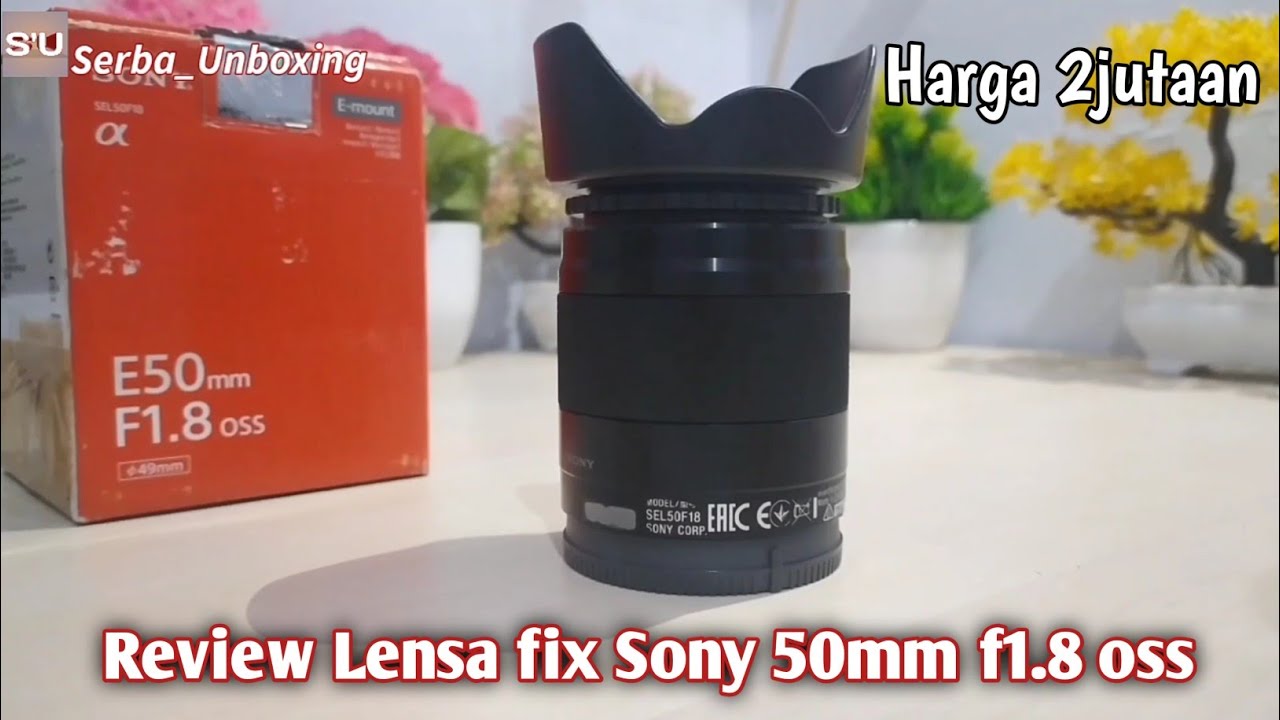 Review Lensa Fix SONY 50mm F1.8 OSS & Contoh Hasil Foto / Video