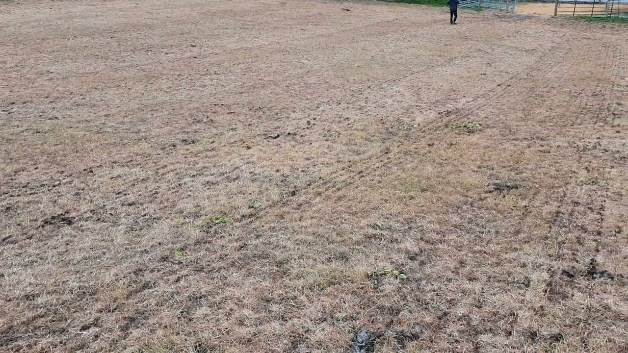 SMS Drill
