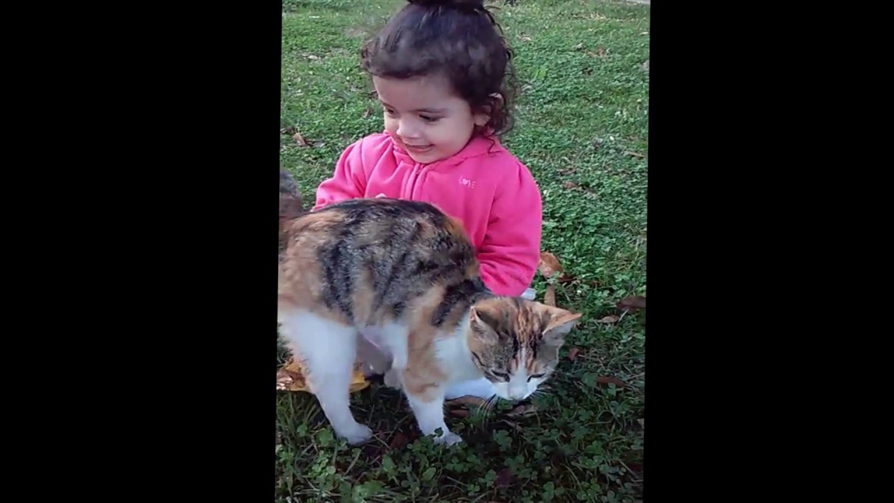 Asyanın kedi ile sevimli vakit geçirmesi :)