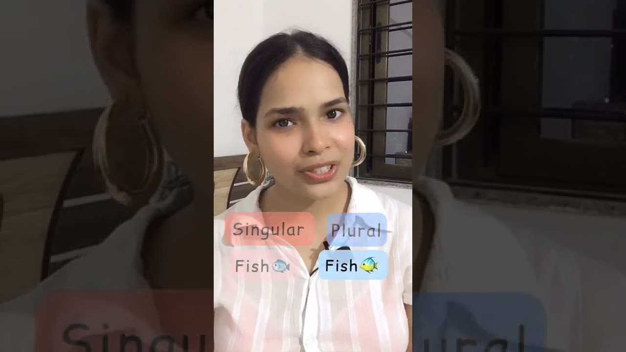 Nouns that DO NOT change in PLURAL ⚡️ 