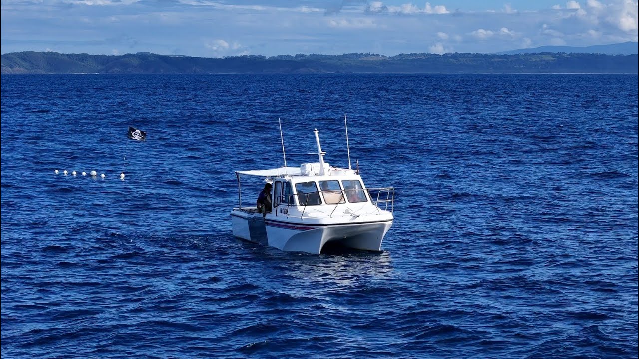 ECWEMP - NSW Ocean Trap & Line Spanner Crab