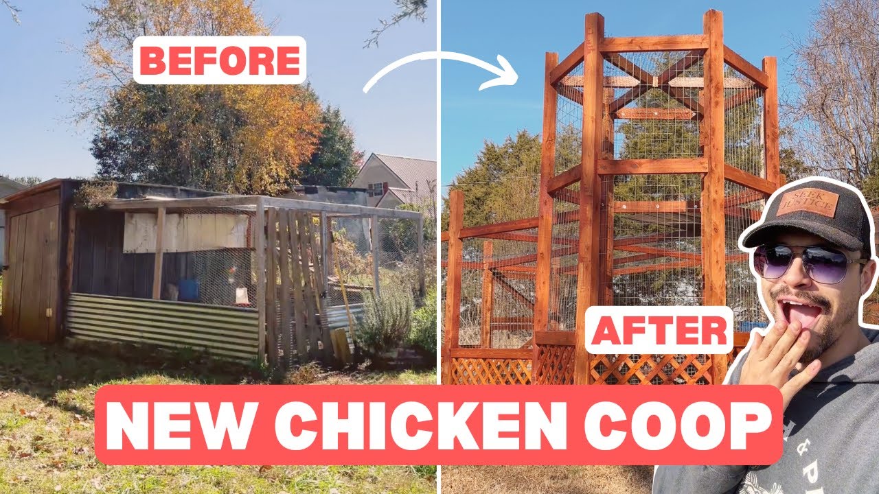 Building A Chicken PALACE! My New Chicken Coop and Run
