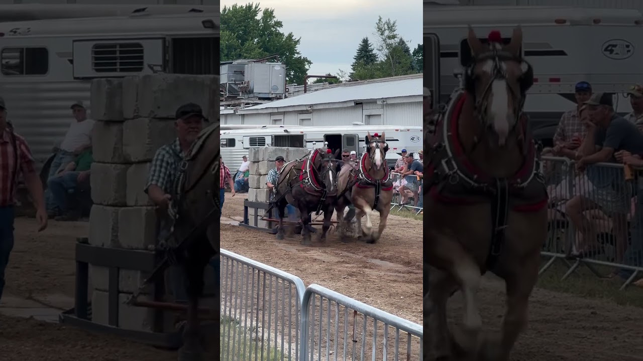 13250 lbs Bear Lake Days horse power horse pulls most weight ever at this location