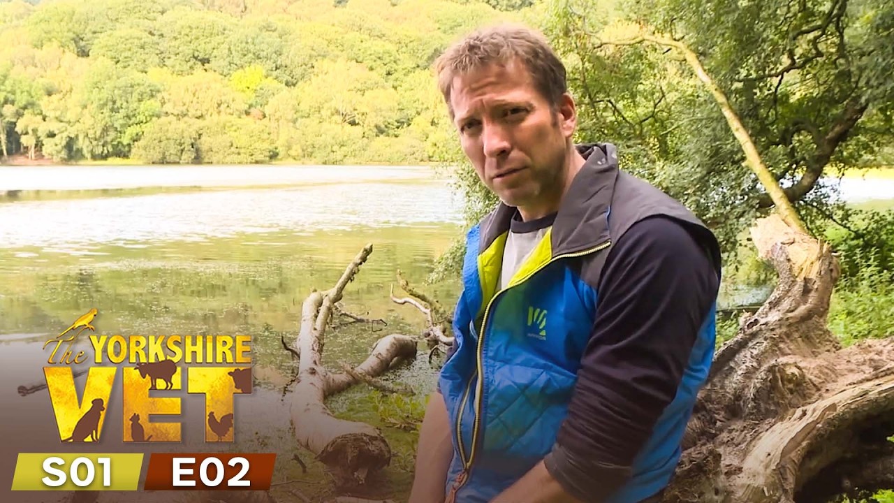 The Yorkshire Vet Countryside Specials Season 1 Episode 2 | Full Episode