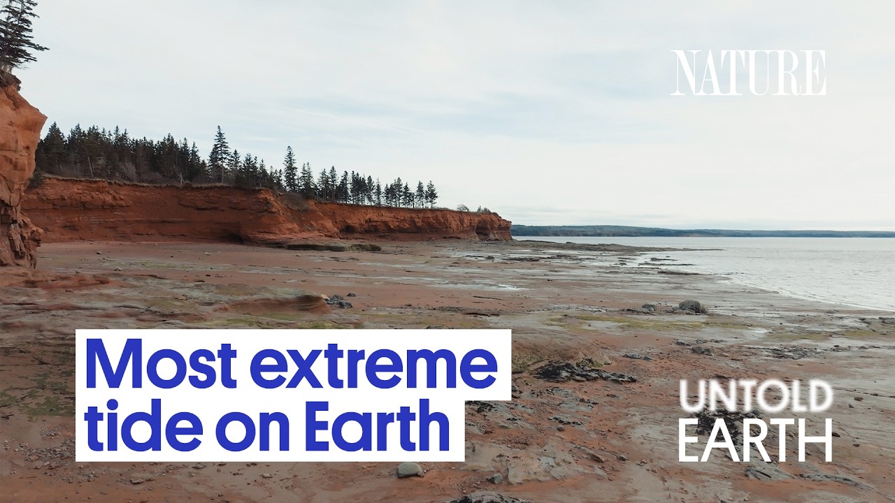 This Bay Moves 100 Billion Tons of Water Every Day