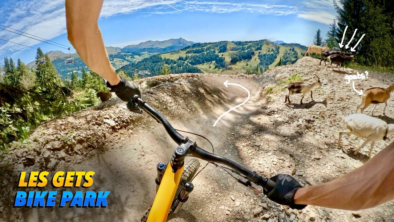 Dodging goats on the Les Gets flow! Riding Les Gets bike park