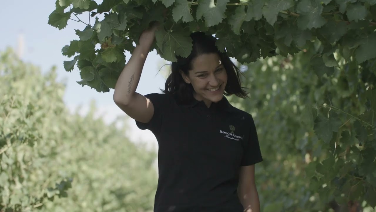 Boschendal Wine Estate