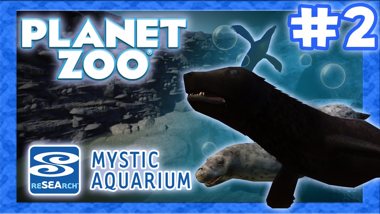 Harbor Seals and Fur Seals - Mystic Aquarium Ep. 2