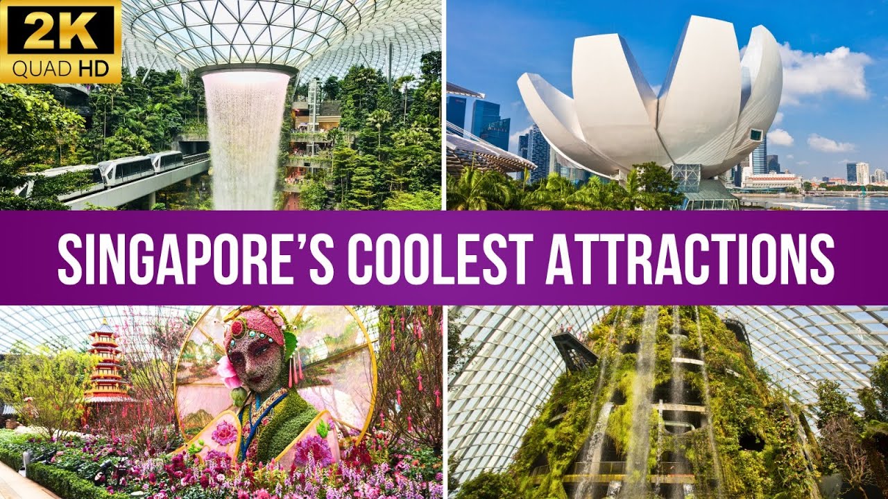 Unique Indoor Attractions in Singapore to Beat the Heat