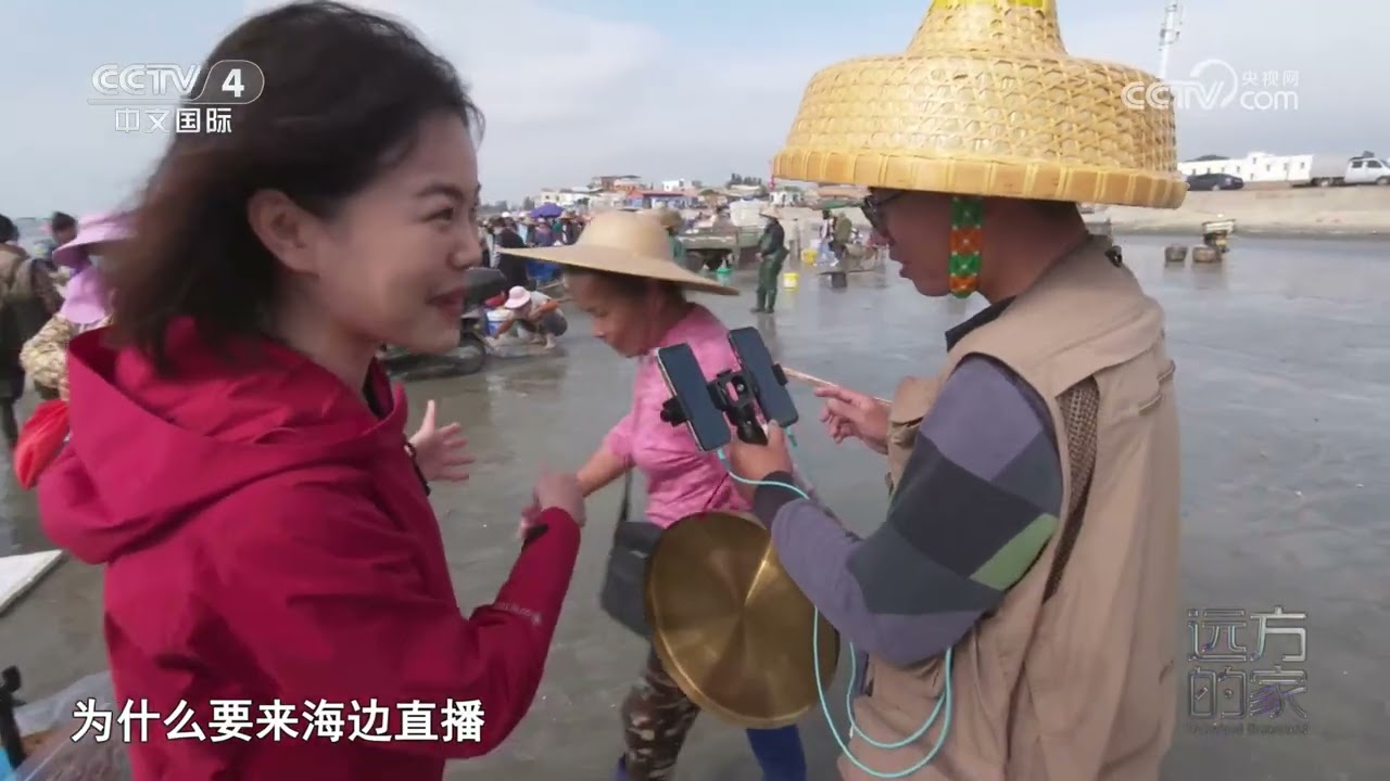 [远方的家]山河锦绣看中国——岭南花开 山海并“茂” 广东茂名：依山面海 山海画卷 | 中华地图