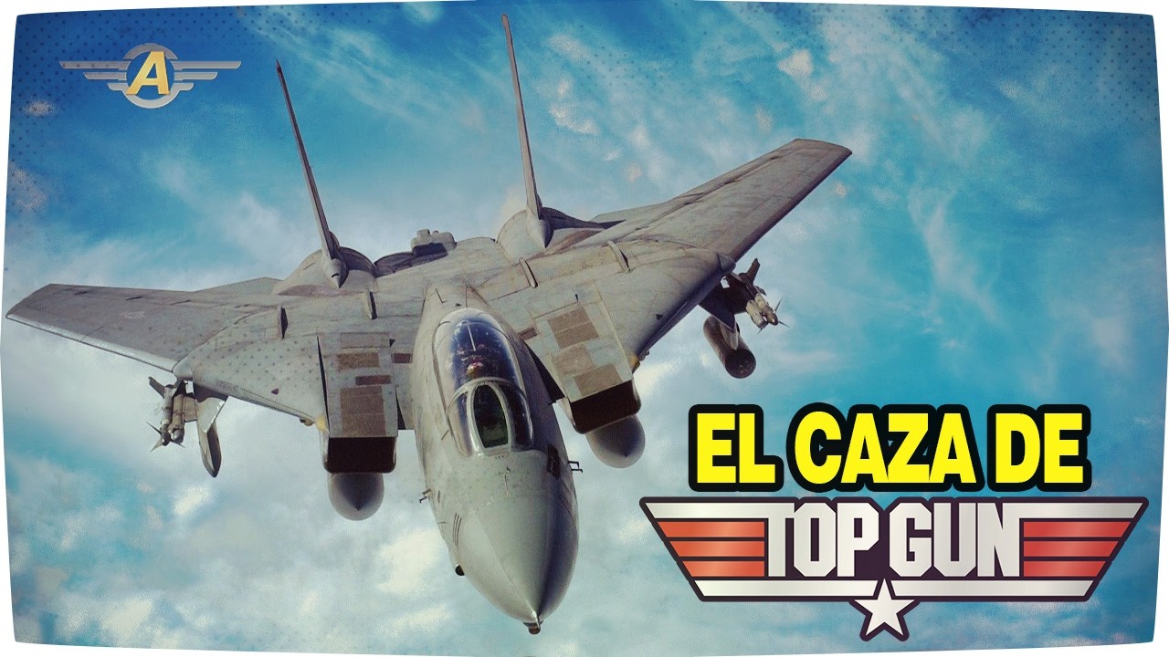 El caza de TOP GUN - Grumman F-14 Tomcat