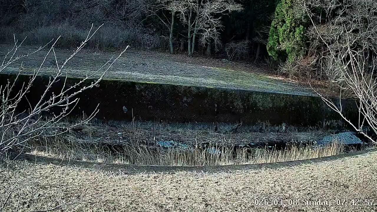岩手県下閉伊郡岩泉町小本字小成ライブカメラ Iwate Shimoheigun Iwaizumicho Live Camera.world.cam