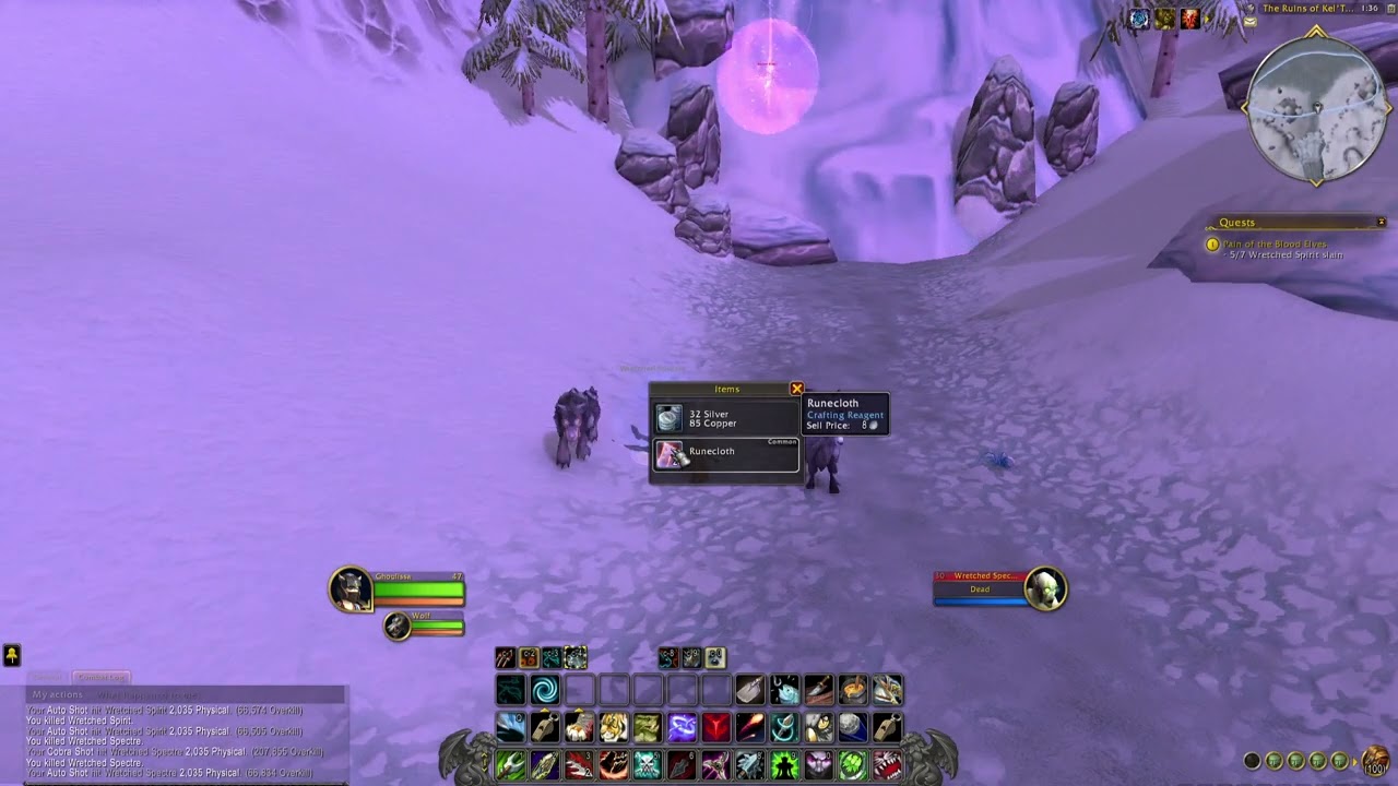 World of Warcraft | Alliance Quests - Pain of the Blood Elves