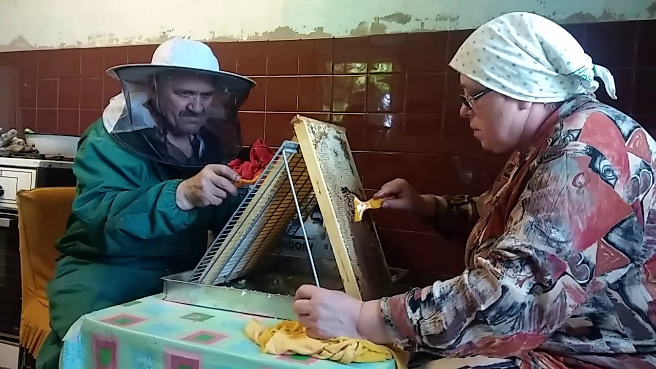 Miodobranie 2017 rzepak:) bee honey beehive
