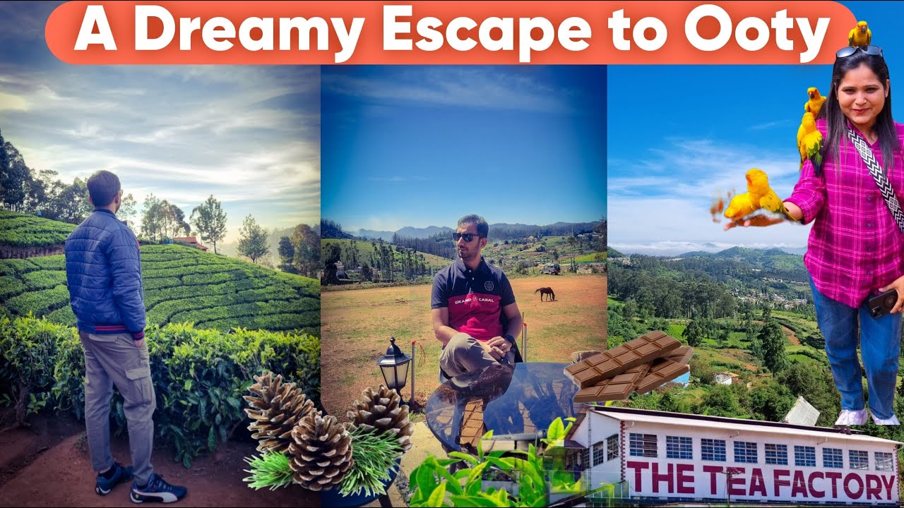 Road Trip to Ooty | Ultimate Travel Guide |Ooty in 2025 | Must-See Attractions & Travel Tips | Nexon