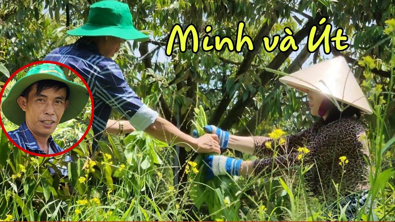 Không có cơ hội nào tốt hơn thế. Lần này em Minh thể hiện thế nào. Mời quý vị xem sẽ rõ.
