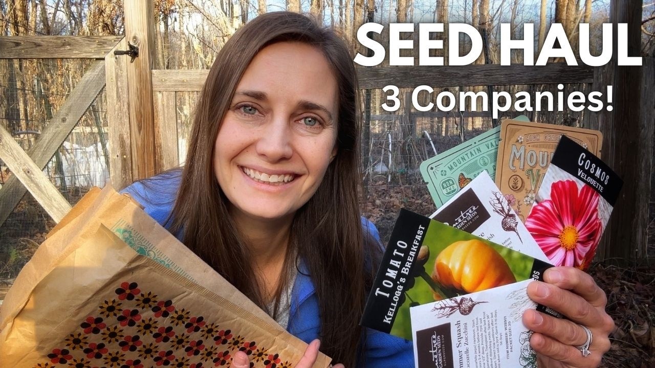 HUGE Seed Haul (3 Companies!) Baker Creek, Pinetree, True Leaf Market
