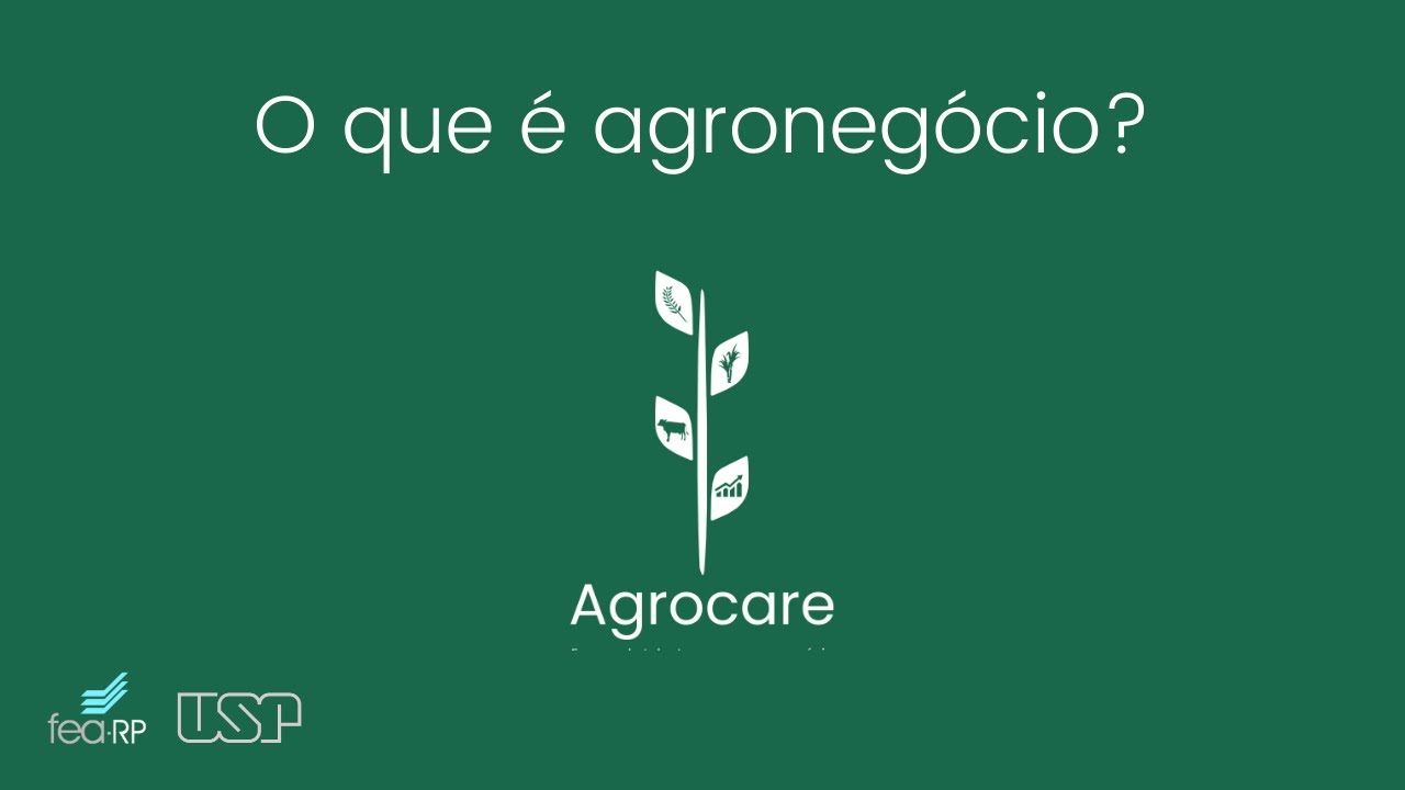 O que &eacute; agroneg&oacute;cio?