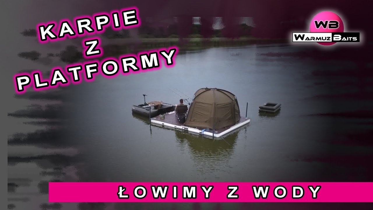 Karpie z platformy